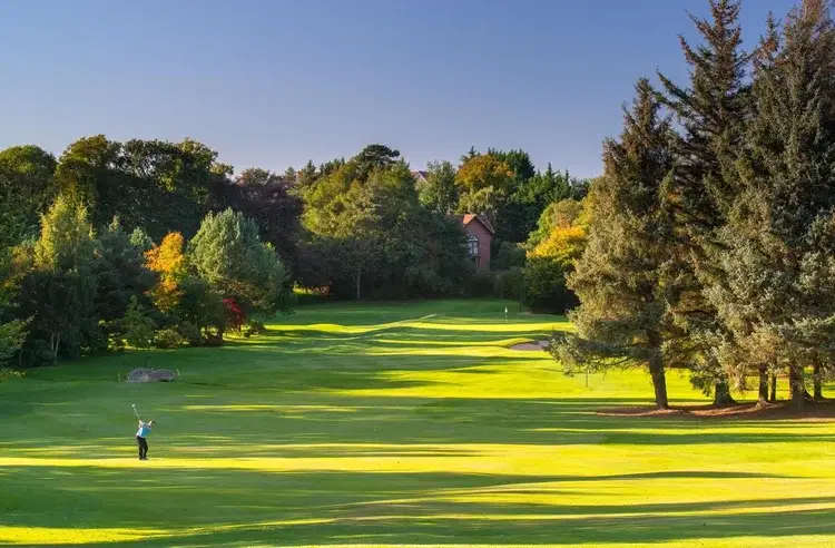 11th+Fairway